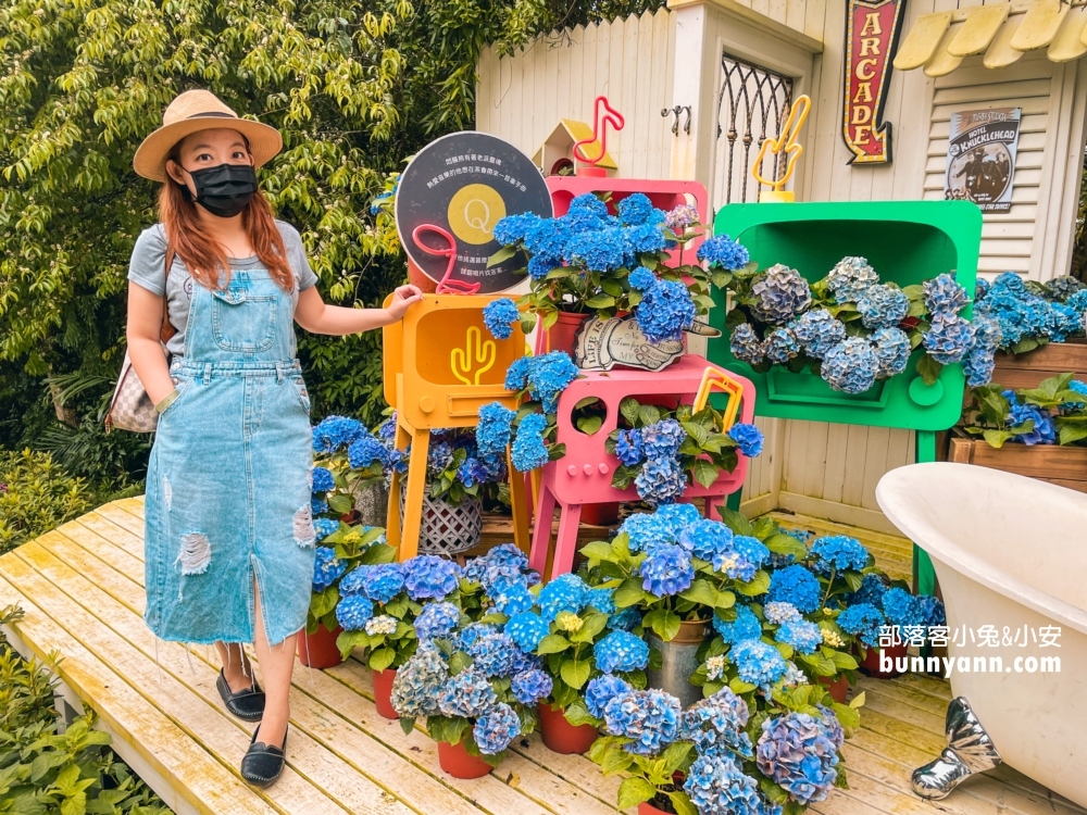 2024【新竹薰衣草森林】尖石薰衣草森林，園區環境、交通、花況攻略