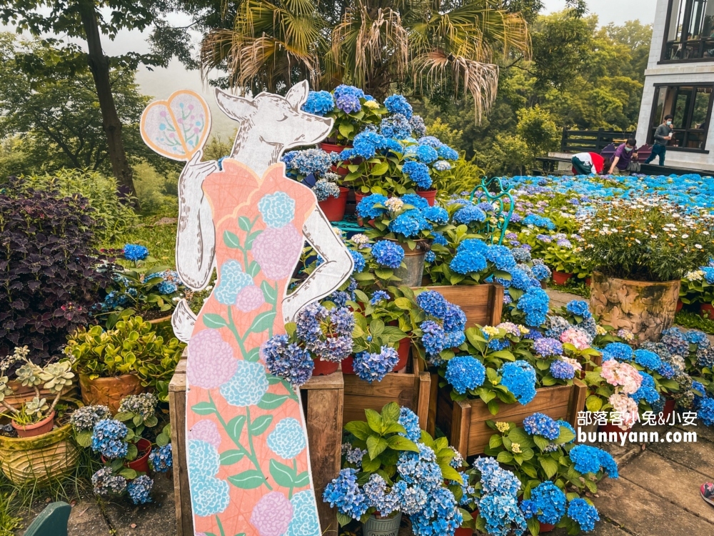 2024【新竹薰衣草森林】尖石薰衣草森林，園區環境、交通、花況攻略