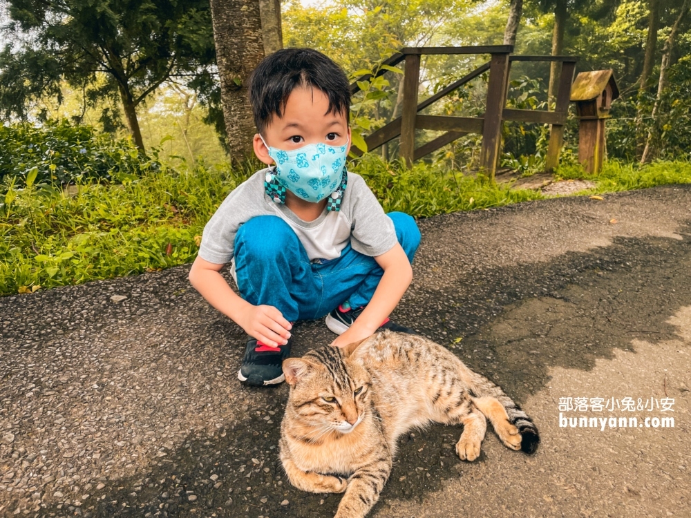 2024【新竹薰衣草森林】尖石薰衣草森林，園區環境、交通、花況攻略