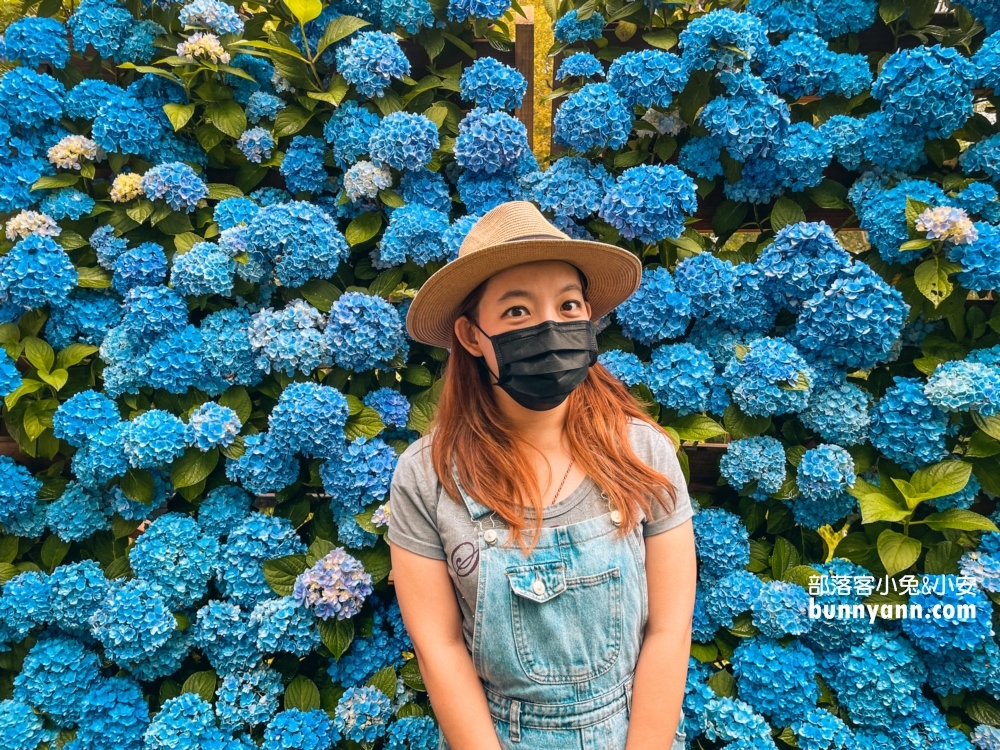 2024【新竹薰衣草森林】尖石薰衣草森林，園區環境、交通、花況攻略
