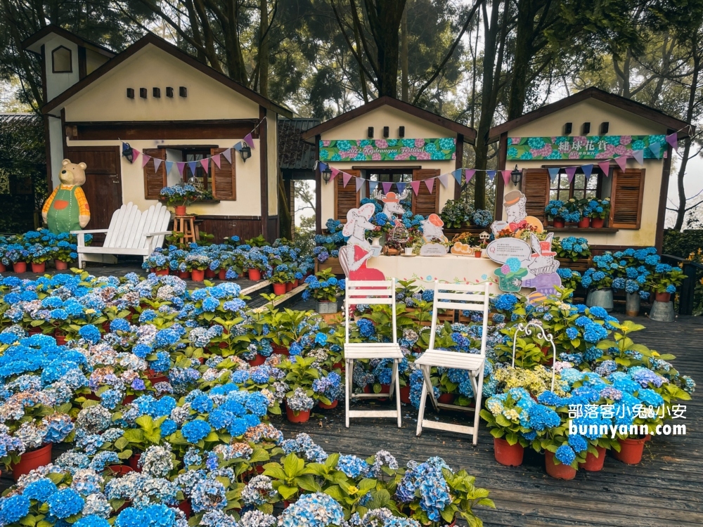 【2024新竹薰衣草森林】尖石薰衣草森林，園區環境、交通、花況攻略