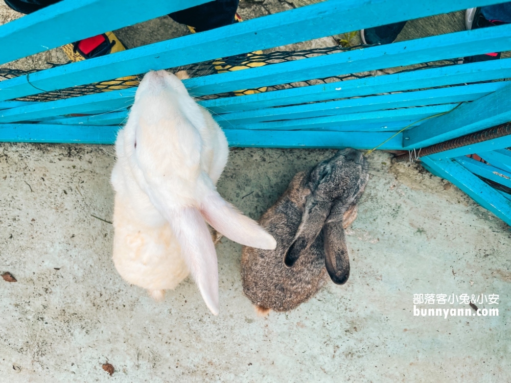 新竹尖石鄉《魔法女屋》藏在山中藍色城堡，走入美麗山嵐一日遊這樣玩