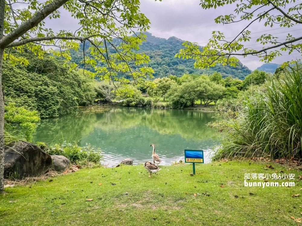 苗栗泰安溫泉｜必玩景點、平價湯屋與水療SPA池全攻略
