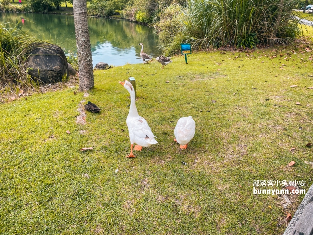苗栗【雪霸國家公園管理處】湖邊的氣溫涼爽，還有生態館可以參觀