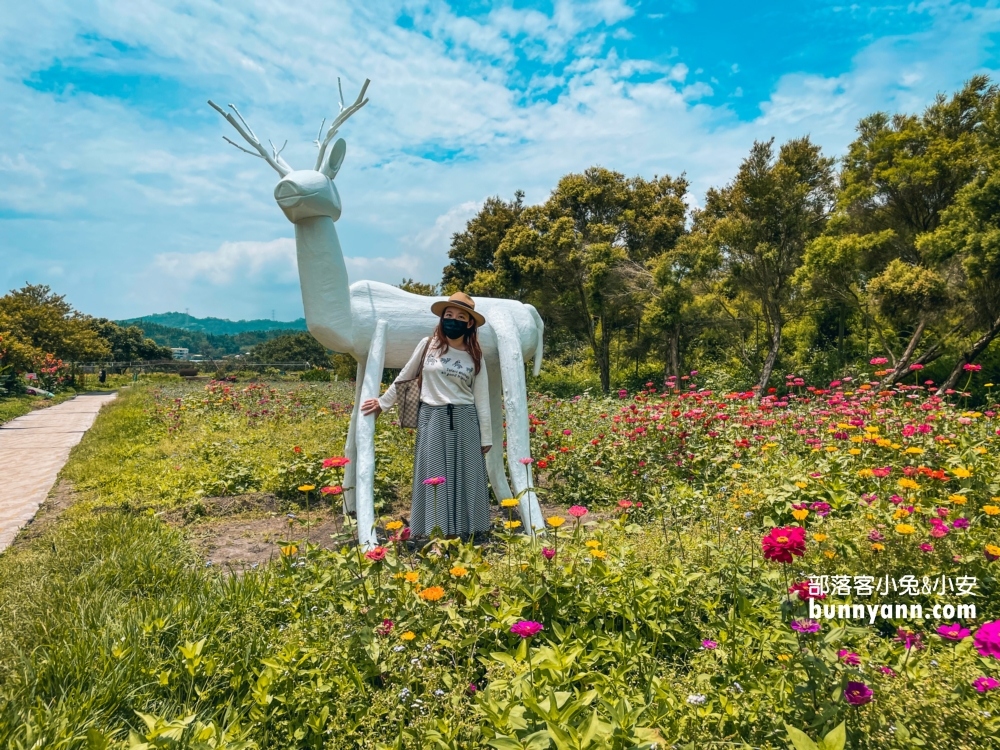 南投平地花海推薦！日月潭金針花園區頭社活盆地會跳舞的草地