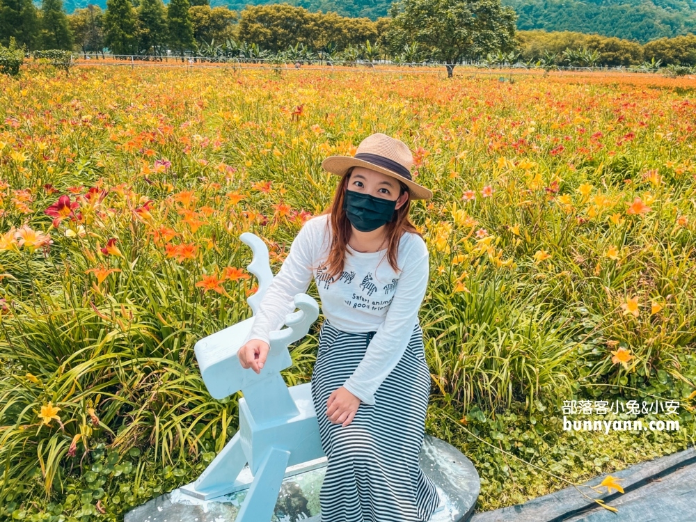 南投平地花海推薦！日月潭金針花園區頭社活盆地會跳舞的草地