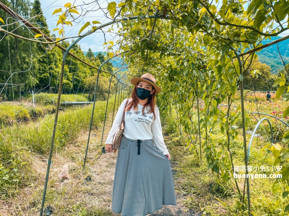 南投平地花海推薦！日月潭金針花園區頭社活盆地會跳舞的草地