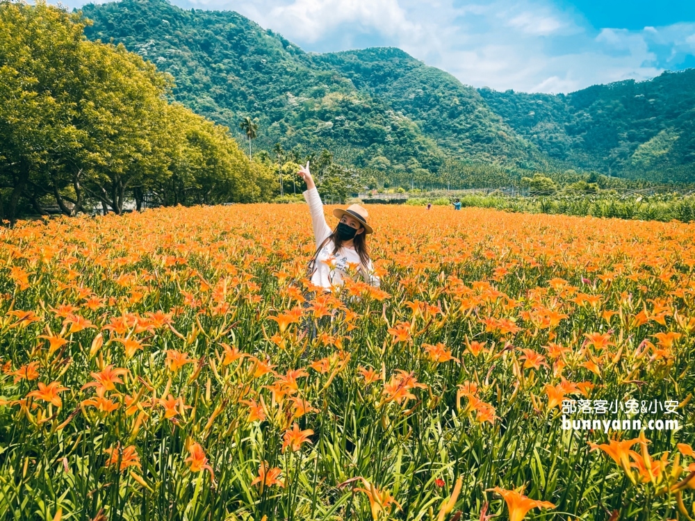 南投平地花海推薦！日月潭金針花園區頭社活盆地會跳舞的草地