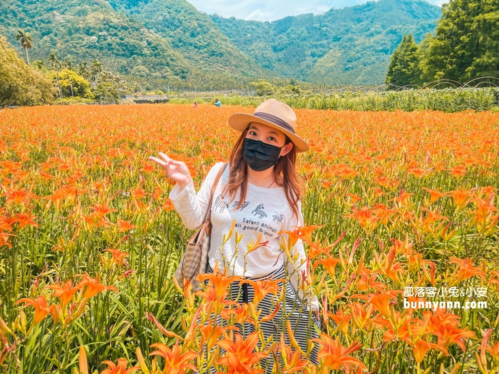 南投平地花海推薦！日月潭金針花園區頭社活盆地會跳舞的草地