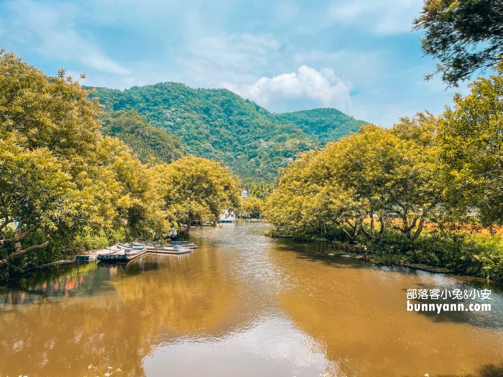 南投平地花海推薦！日月潭金針花園區頭社活盆地會跳舞的草地