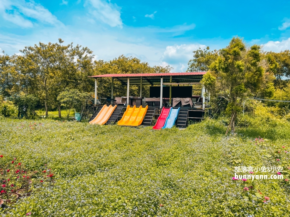 南投平地花海推薦！日月潭金針花園區頭社活盆地會跳舞的草地