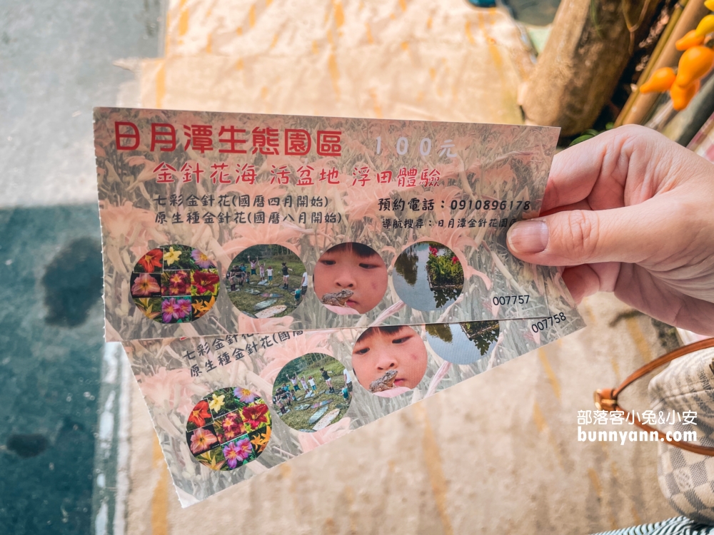 南投平地花海推薦！日月潭金針花園區頭社活盆地會跳舞的草地