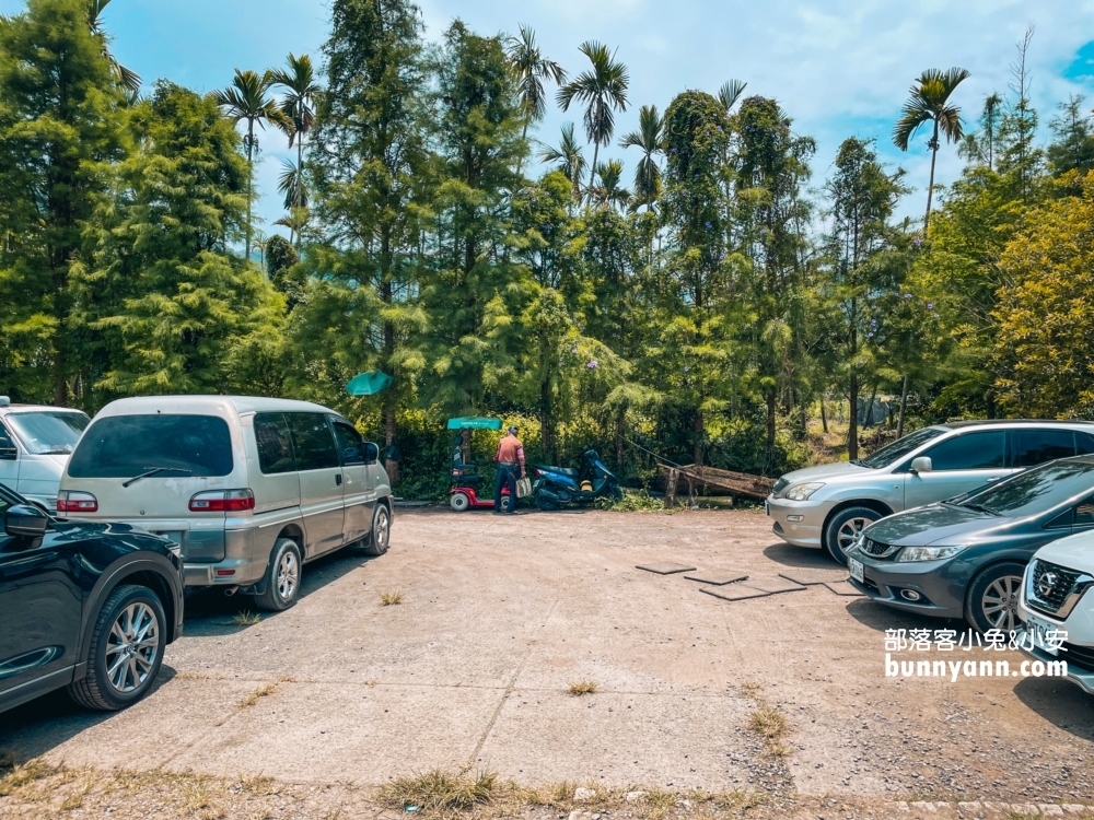 南投平地花海推薦！日月潭金針花園區頭社活盆地會跳舞的草地