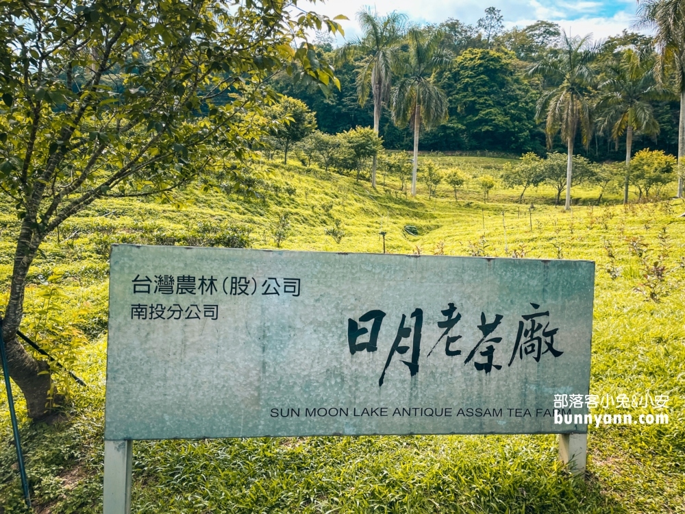 2025【日月老茶廠】茶金拍攝場景之一的茶葉觀光工廠