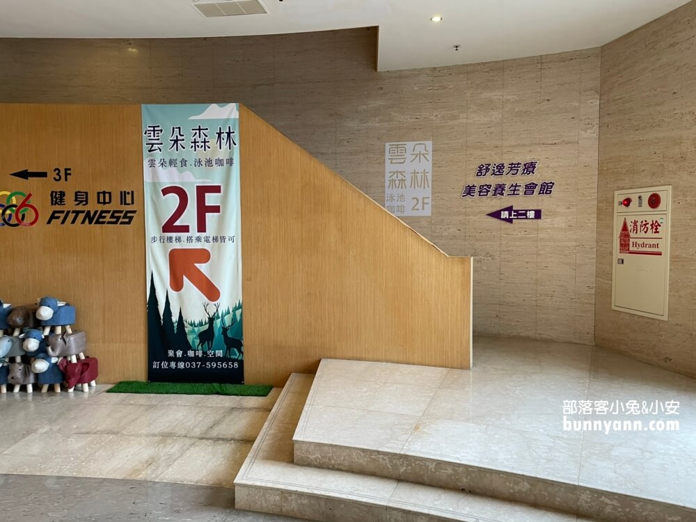 苗栗下午茶|夢幻系咖啡店雲朵森林，乾燥花夏日風，甜甜蜜糖吐司，午後耍廢好去處