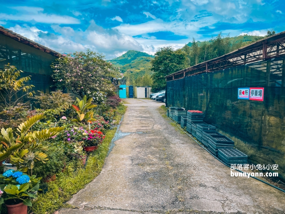 桃園中興花卉農場多肉植栽，美麗繡球花最新參觀資訊