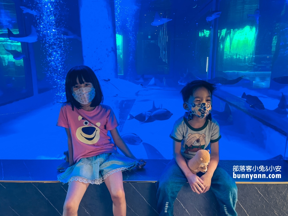 古坑【八斗子海鮮餐廳】每週二公休海產店，龍蝦、生魚片和小卷米粉都好吃!