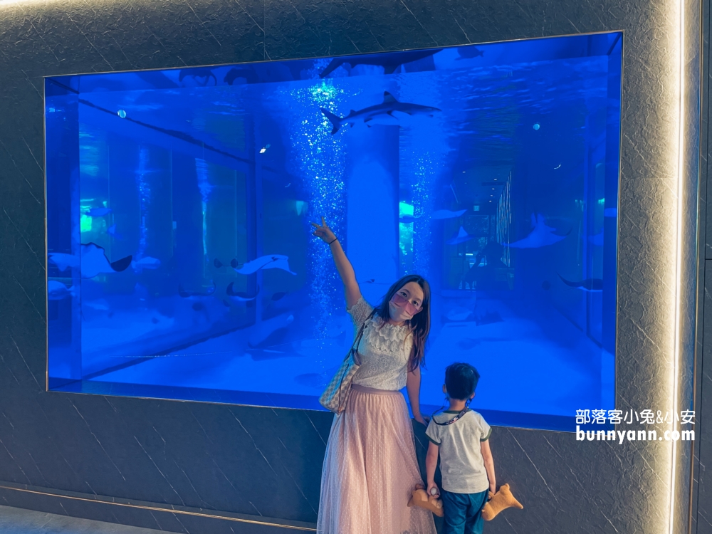 古坑【八斗子海鮮餐廳】每週二公休海產店，龍蝦、生魚片和小卷米粉都好吃!