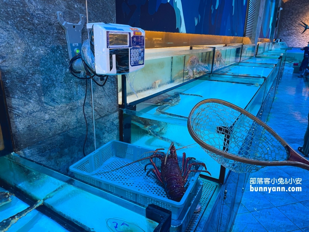 古坑【八斗子海鮮餐廳】每週二公休海產店，龍蝦、生魚片和小卷米粉都好吃!
