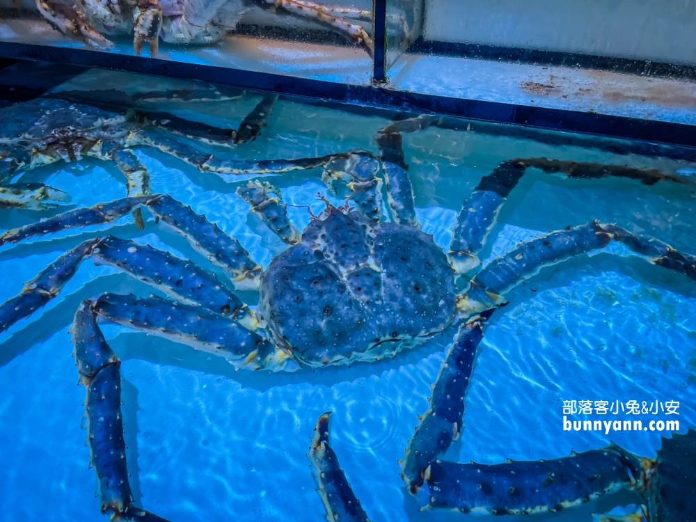古坑【八斗子海鮮餐廳】每週二公休海產店，龍蝦、生魚片和小卷米粉都好吃!