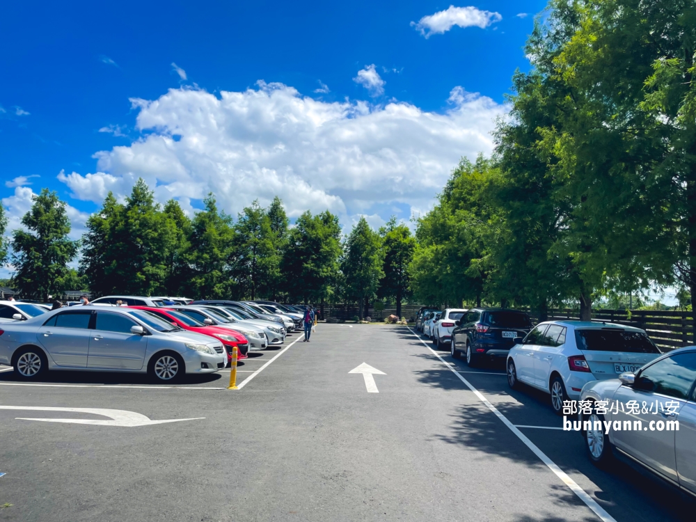 古坑【八斗子海鮮餐廳】每週二公休海產店，龍蝦、生魚片和小卷米粉都好吃!