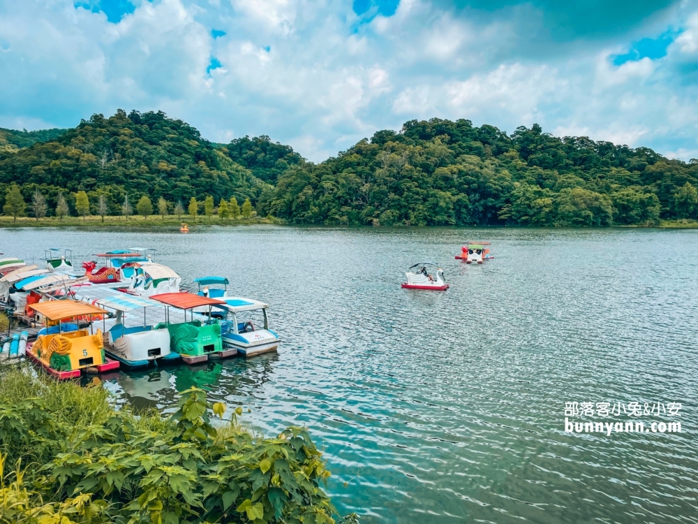 苗栗三義映象水岸私房咖啡店，欣賞唯美湖景還可以搭天鵝船遊湖