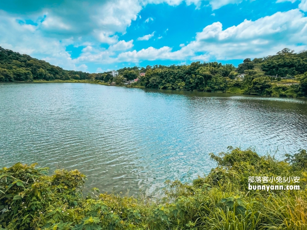 苗栗三義映象水岸私房咖啡店，欣賞唯美湖景還可以搭天鵝船遊湖
