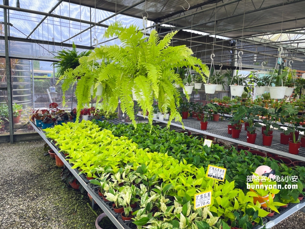 彰化【埔茂花市】多肉植物園免費逛，嗨玩整組沙坑溜滑梯