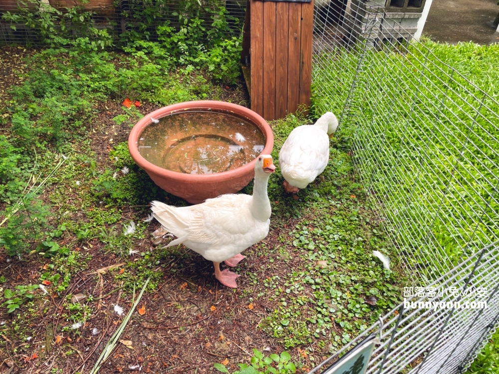 彰化【埔茂花市】多肉植物園免費逛，嗨玩整組沙坑溜滑梯