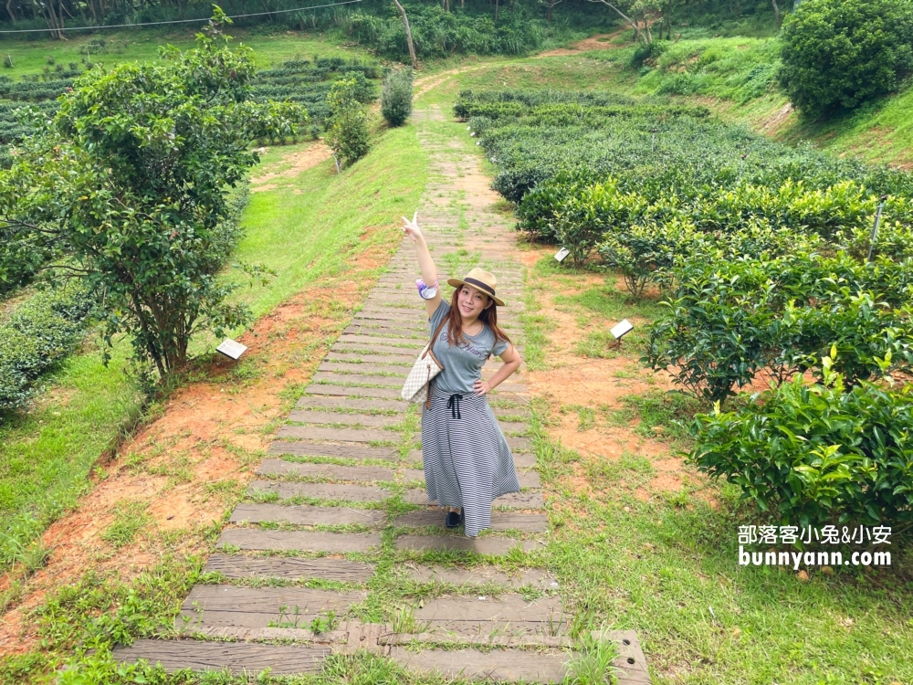 台灣農林銅鑼茶廠一日遊，門票資訊與附近景點介紹