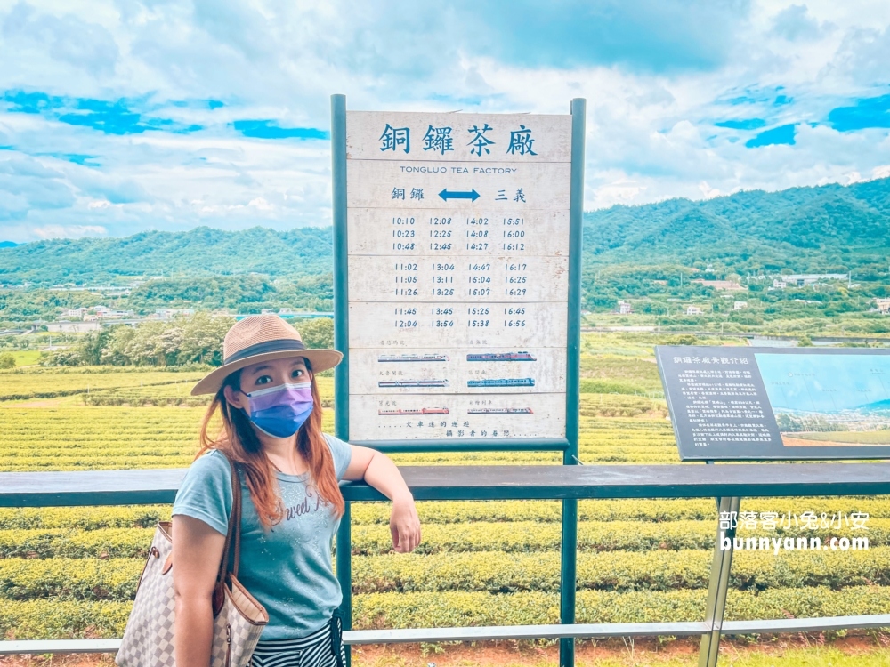 台灣農林銅鑼茶廠一日遊，門票資訊與附近景點介紹