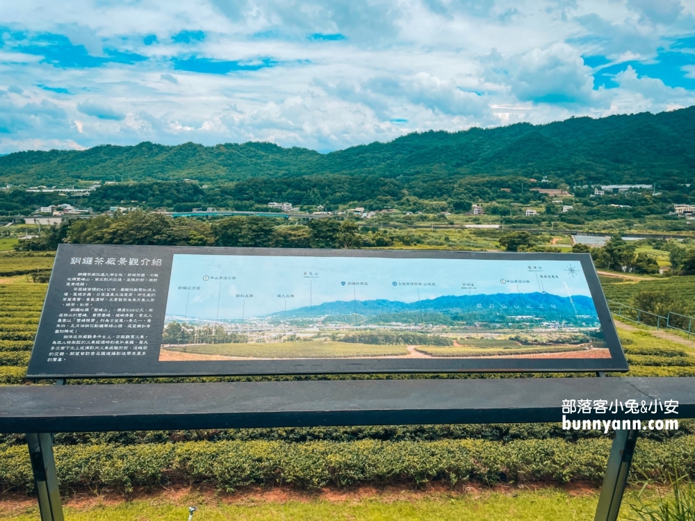 台灣農林銅鑼茶廠一日遊，門票資訊與附近景點介紹