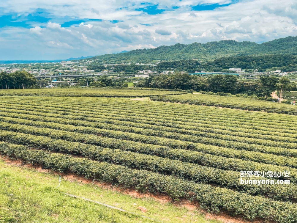 台灣農林銅鑼茶廠一日遊，門票資訊與附近景點介紹