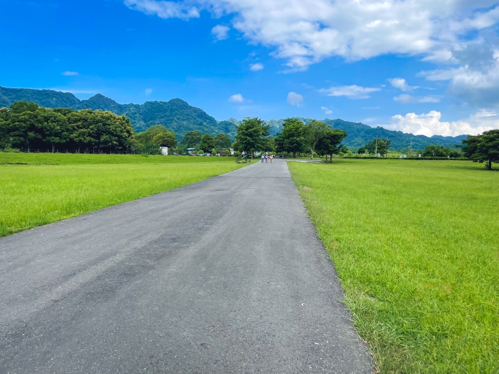 花蓮「大農大富平地森林園區」騎單車漫遊森林步道