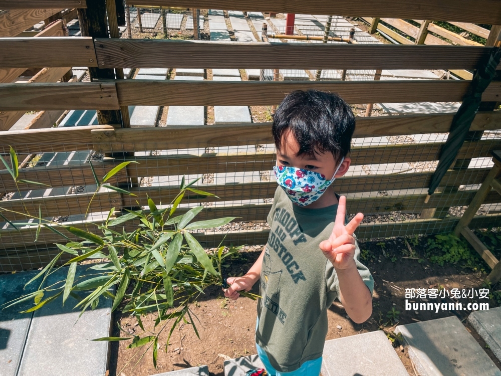 苗栗哈比丘莊園，可愛笑笑羊和水豚君出沒，美拍天空鞦韆與哈比屋