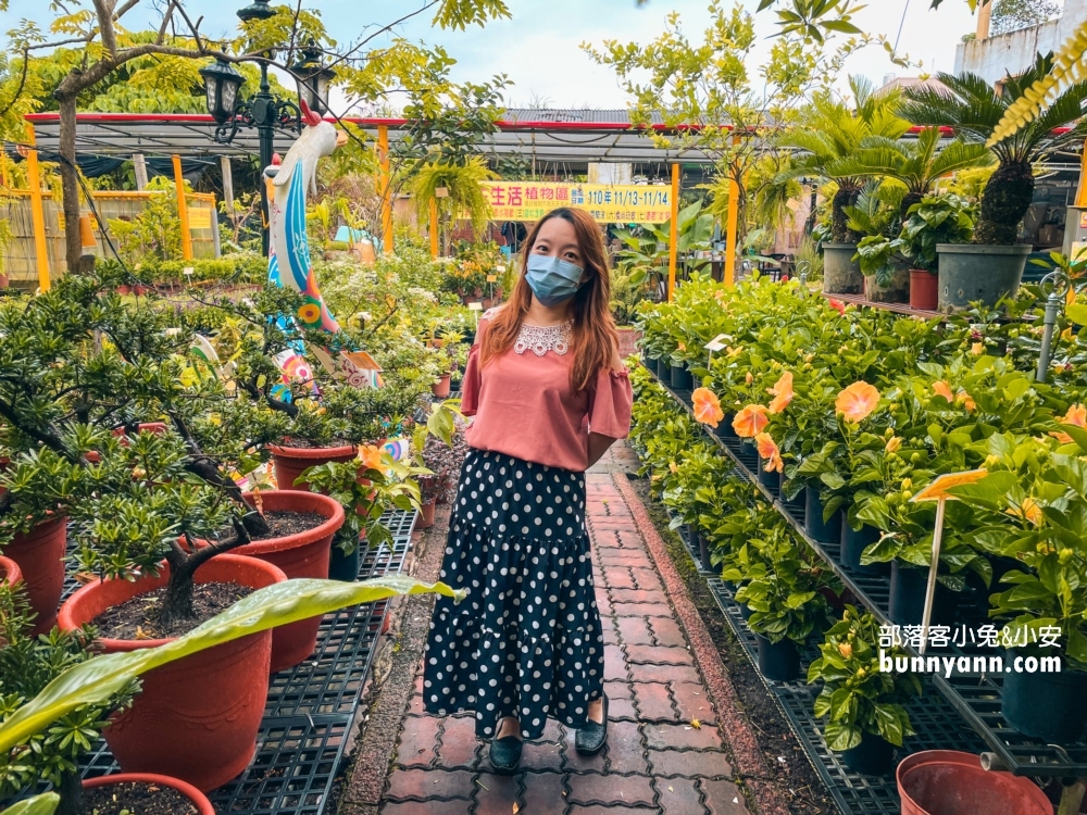 田尾鳳凰花園｜走進花市叢林裡玩戶外溜滑梯，充滿綠意庭院超好拍