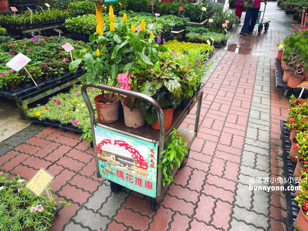 田尾鳳凰花園｜走進花市叢林裡玩戶外溜滑梯，充滿綠意庭院超好拍