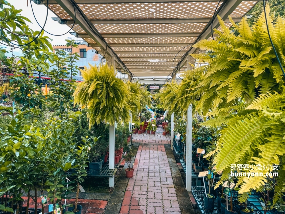 田尾鳳凰花園｜走進花市叢林裡玩戶外溜滑梯，充滿綠意庭院超好拍