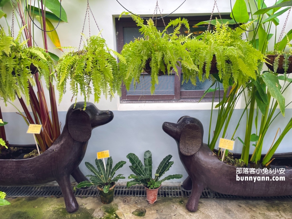 田尾鳳凰花園｜走進花市叢林裡玩戶外溜滑梯，充滿綠意庭院超好拍