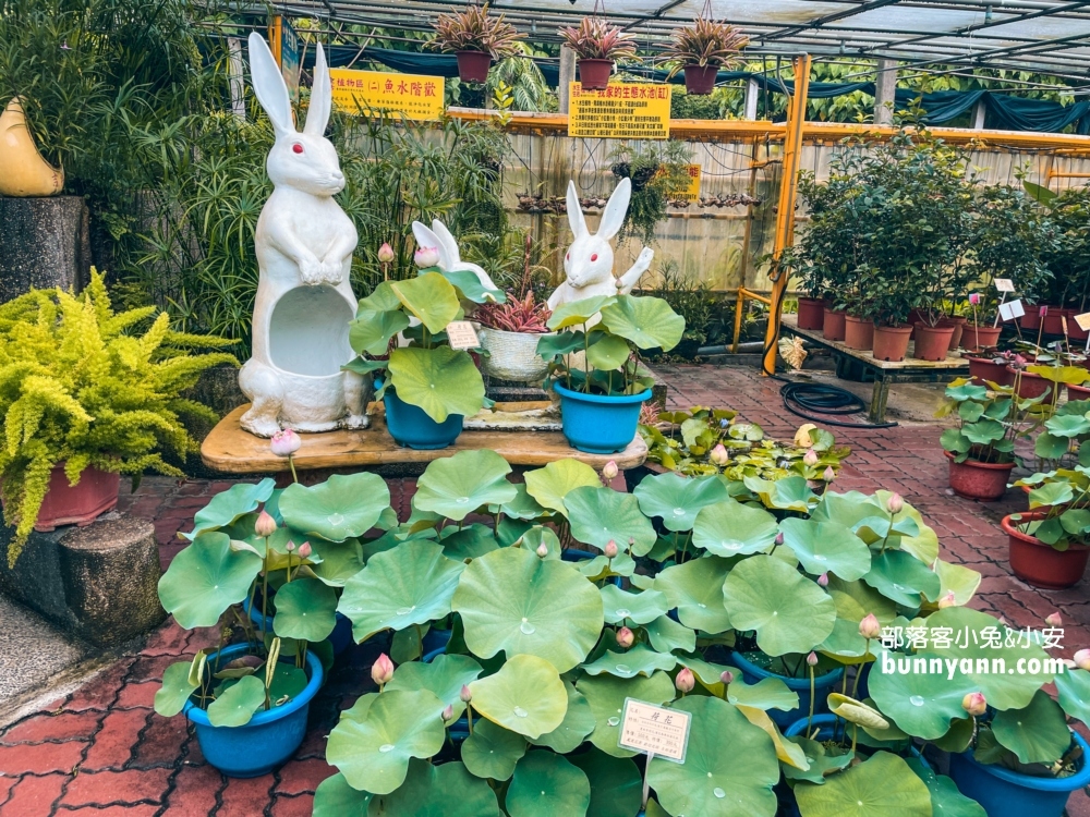 田尾鳳凰花園｜走進花市叢林裡玩戶外溜滑梯，充滿綠意庭院超好拍
