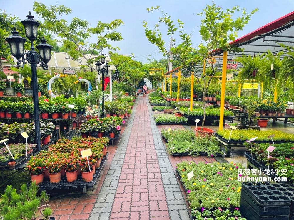田尾鳳凰花園｜走進花市叢林裡玩戶外溜滑梯，充滿綠意庭院超好拍