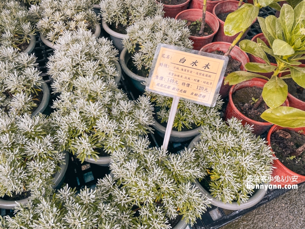 田尾鳳凰花園｜走進花市叢林裡玩戶外溜滑梯，充滿綠意庭院超好拍
