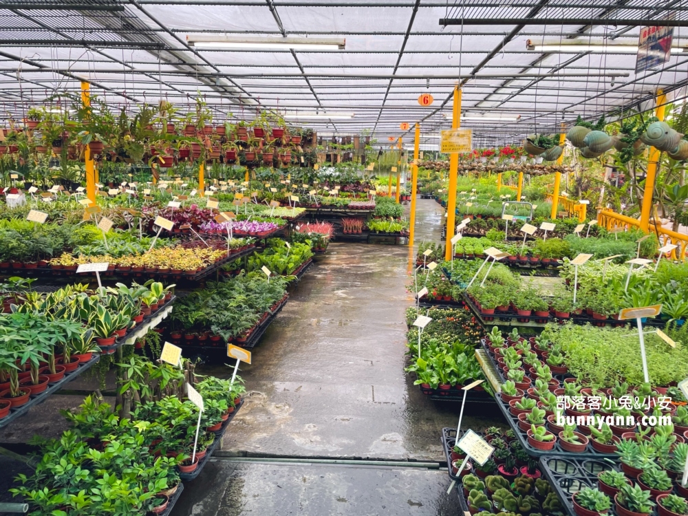田尾鳳凰花園|走進花市叢林裡玩戶外溜滑梯,充滿綠意庭院超好拍 田尾鳳凰花園|走進花市叢林裡玩戶外溜滑梯,充滿綠意庭院超好拍