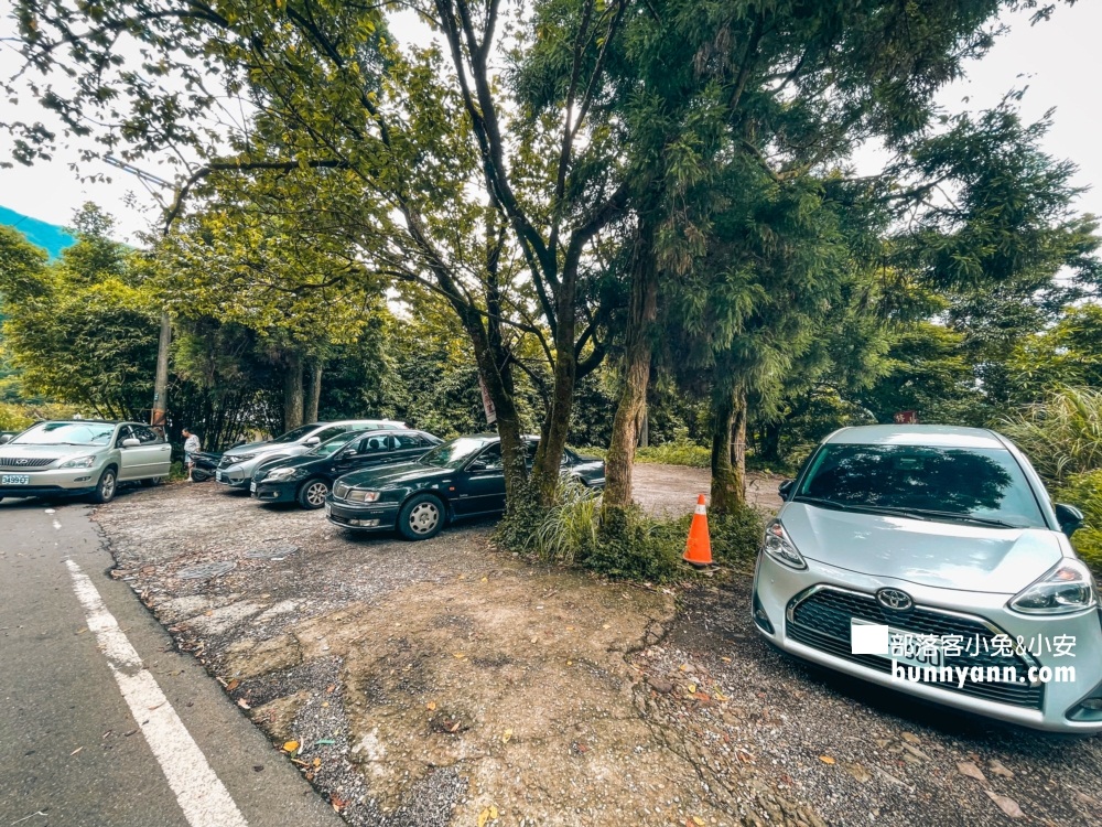 陽明山【山園野菜餐廳】谷歌4顆星的評價不錯的山產餐廳！