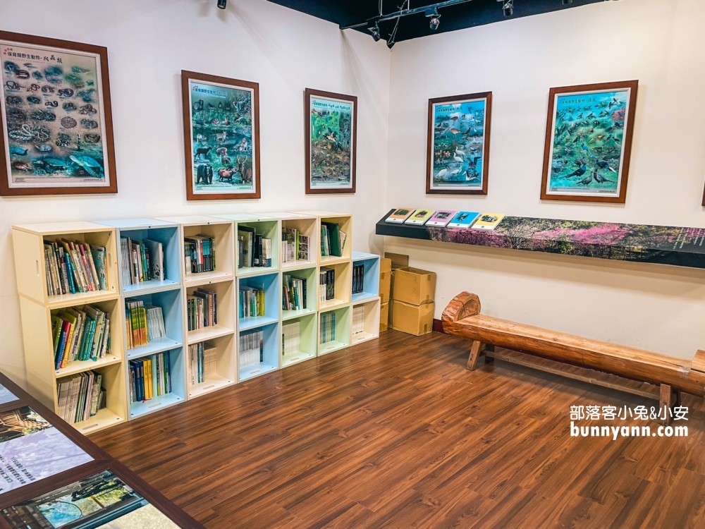 🌲八仙山森林步道一日遊攻略｜谷關親子景點推薦、森林瀑布＆戲水池超放鬆！