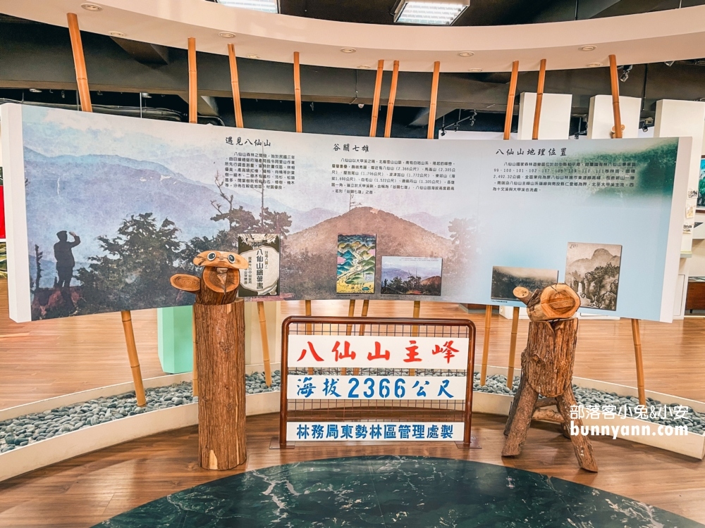 🌲八仙山森林步道一日遊攻略｜谷關親子景點推薦、森林瀑布＆戲水池超放鬆！