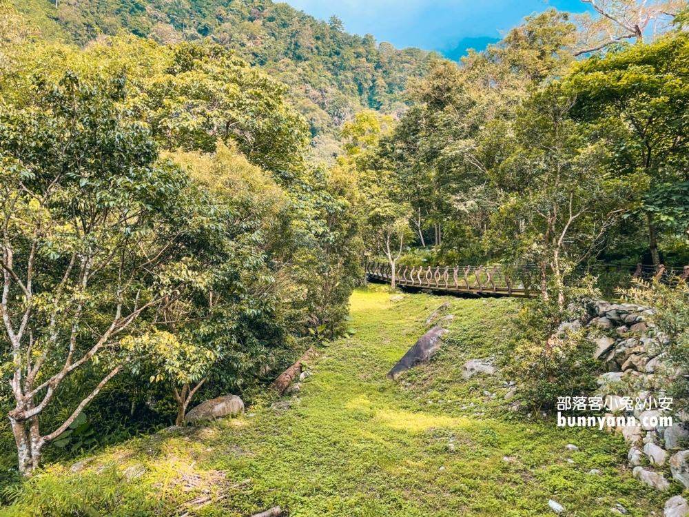 🌲八仙山森林步道一日遊攻略｜谷關親子景點推薦、森林瀑布＆戲水池超放鬆！