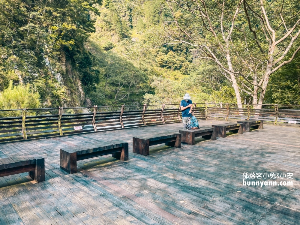 🌲八仙山森林步道一日遊攻略｜谷關親子景點推薦、森林瀑布＆戲水池超放鬆！