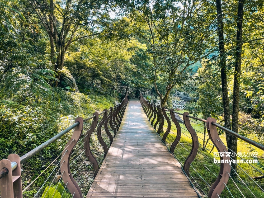 🌲八仙山森林步道一日遊攻略｜谷關親子景點推薦、森林瀑布＆戲水池超放鬆！