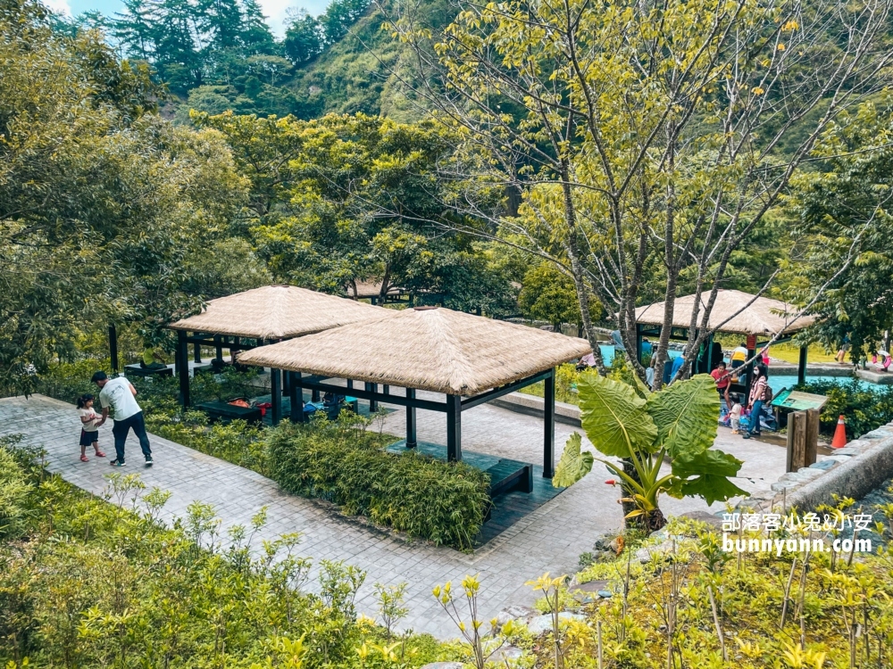 🌲八仙山森林步道一日遊攻略｜谷關親子景點推薦、森林瀑布＆戲水池超放鬆！